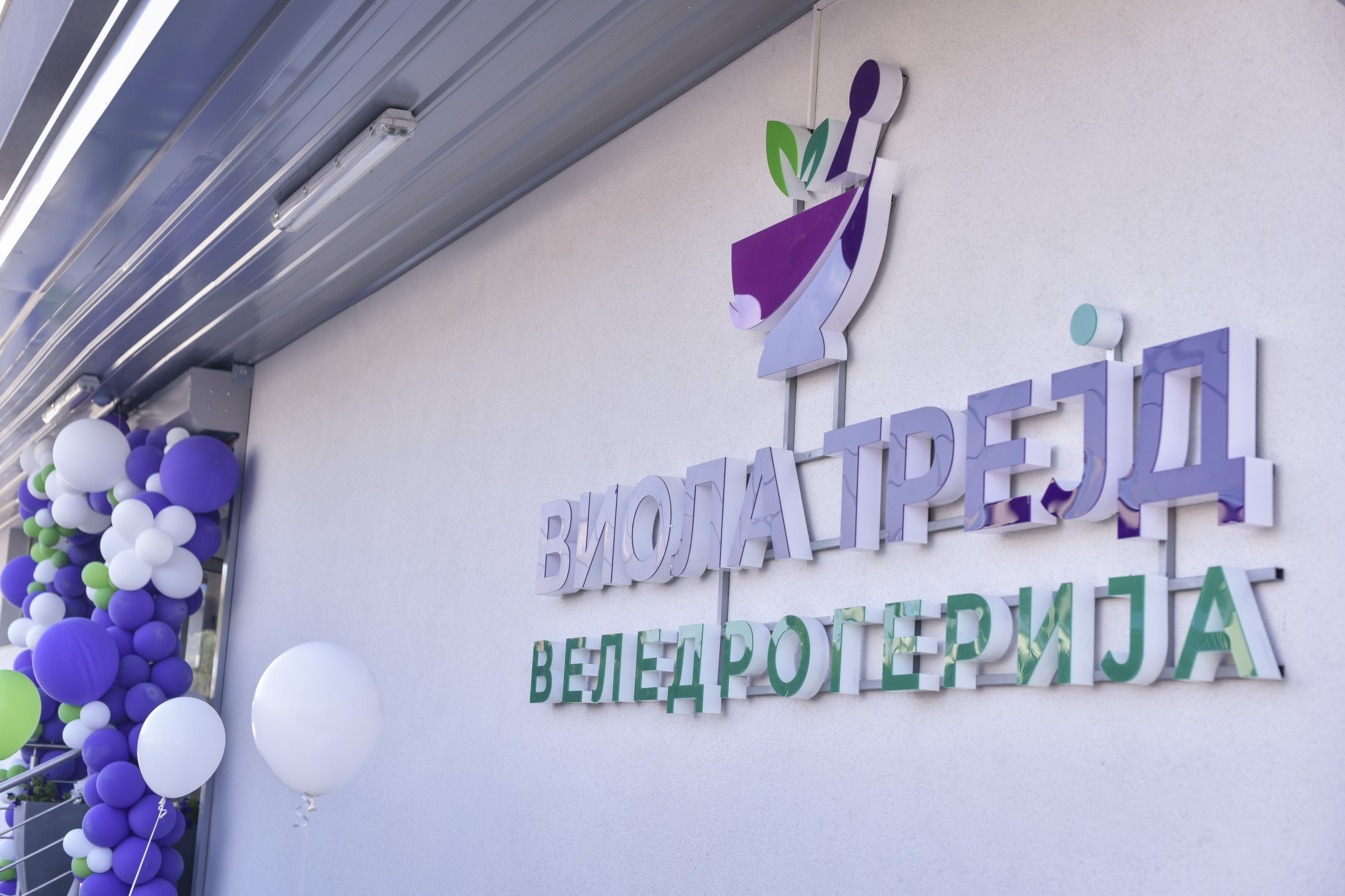 Виола лого